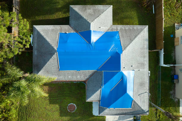 Best Gutter Installation and Repair  in New Market, AL