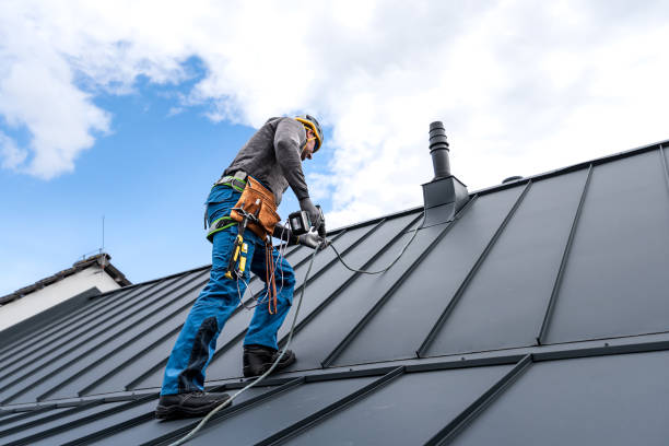 Best Roof Moss and Algae Removal  in New Market, AL